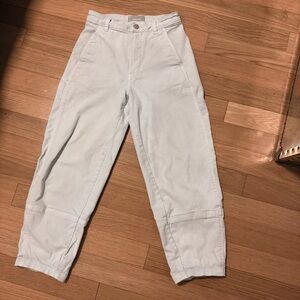 Everlane Light Blue Barrel Pants Organic Cotton - 2 regular